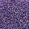 MIYUKI Delica Beads X-SEED-J020-DB2509-2