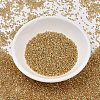 MIYUKI Delica Beads X-SEED-J020-DB2521-2