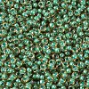 MIYUKI Round Rocailles Beads X-SEED-G007-RR0374-3