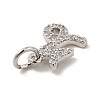 Brass Micro Pave Cubic Zirconia Charms KK-E077-02P-05-3