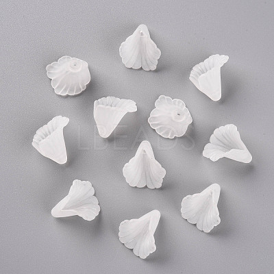 Transparent Acrylic Bead Caps PL551-1