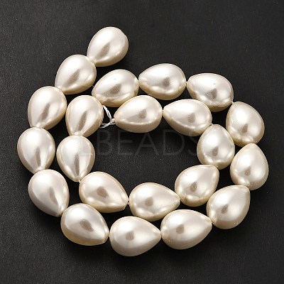 Electroplate Shell Pearl Beads Strands BSHE-G010-14x18mm-01-1