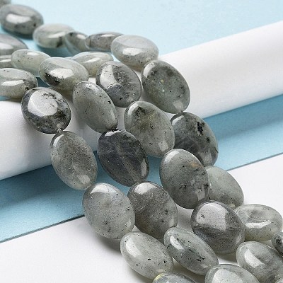 Natural Labradorite Beads Strands X-G-L164-A-34-1