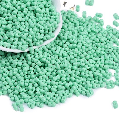 Baking Paint Glass Seed Beads X1-SEED-K010-A07-1