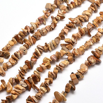 Natural Picture Jasper Chip Bead Strands G-M205-31-1