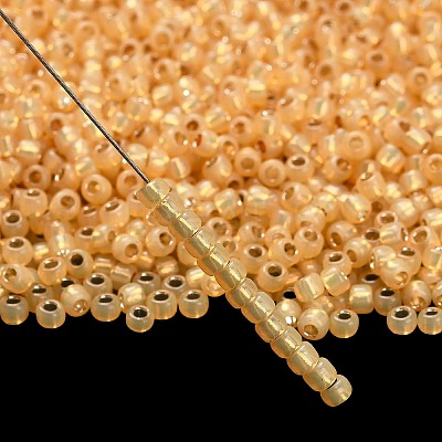 TOHO 8/0 Round Beads X-SEED-TR08-2110-1