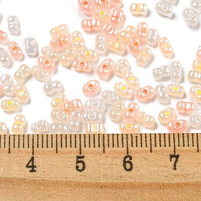 Ceylon Glass Seed Beads SEED-K009-02B-41-1