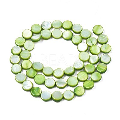 Freshwater Shell Beads Strands SHEL-T009-B16-04-1