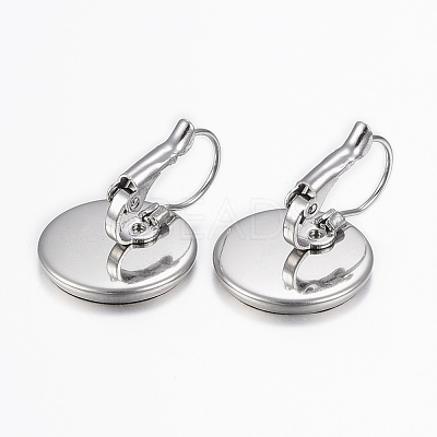 Tarnish Resistant 304 Stainless Steel Leverback Earring Findings STAS-H423-02P-1