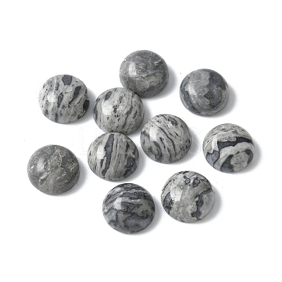 Natural Map Stone Cabochons G-Z075-06A-1