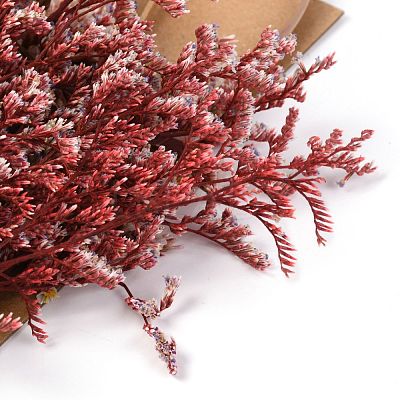 Dried Flower DIY-B018-01-1
