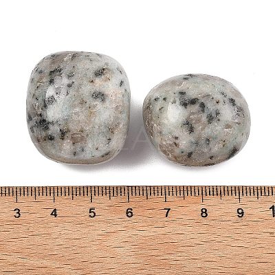 Natural Sesame Jasper Beads G-G348-01B-03-1
