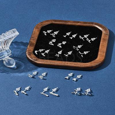 2 Pairs Alloy Stud Earrings for Women EJEW-FS0001-27A-1