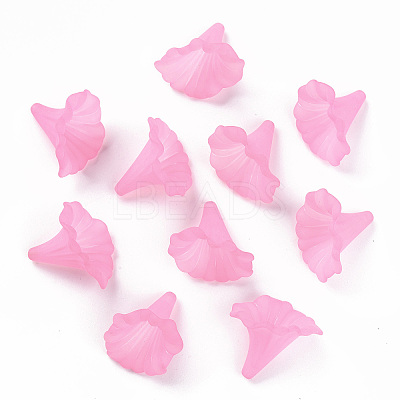 Transparent Acrylic Beads BSF796-C10-1