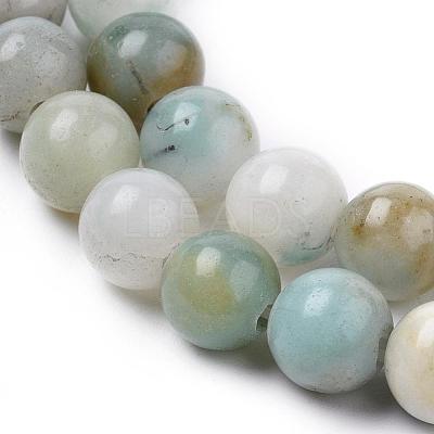 Natural Flower Amazonite Beads Strands G-L476-12-1