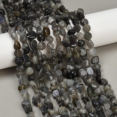 Natural Labradorite Beads Strands G-Q060-E20-02-1