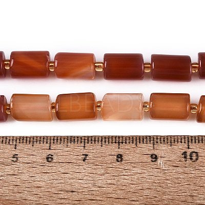Natural Agate Beads Strands G-N362-20A-06-1