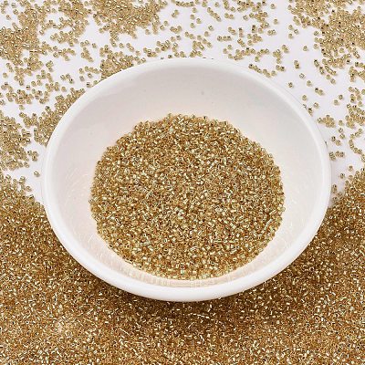 MIYUKI Delica Beads X-SEED-J020-DB2521-1