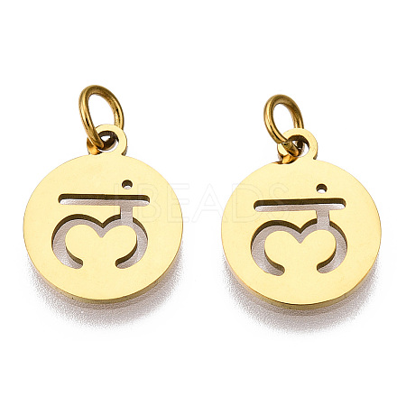 304 Stainless Steel Charms STAS-Q201-T446G-03-1