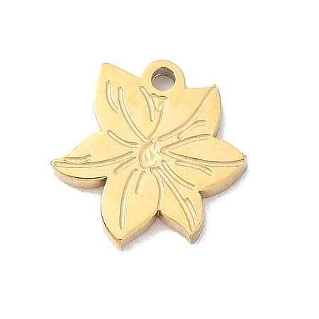 304 Stainless Steel Charms SA-CBA2714-01A-G-1