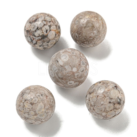 Natural Maifanite Round Ball Figurines Statues for Home Office Desktop Decoration G-P532-02A-30-1