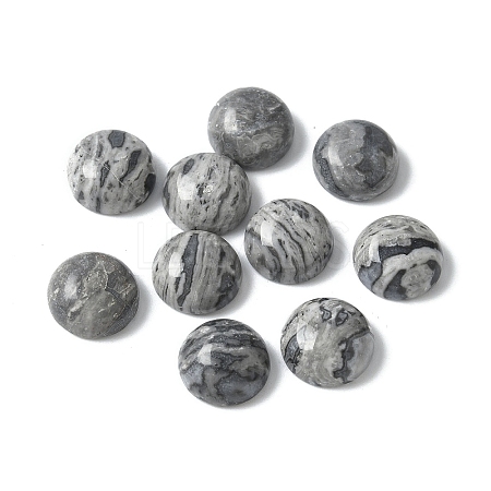 Natural Map Stone Cabochons G-Z075-06A-1