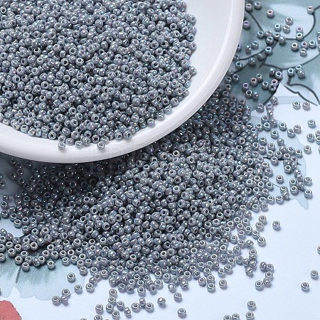 MIYUKI Round Rocailles Beads X-SEED-G007-RR0489-1