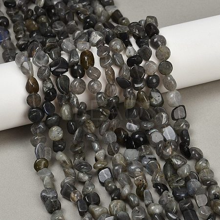 Natural Labradorite Beads Strands G-Q060-E20-02-1