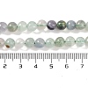 Natural Fluorite Beads Strands G-P530-B04-02-5