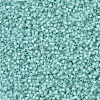 MIYUKI Delica Beads SEED-X0054-DB0626-3