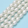 Natural Cultured Freshwater Pearl Beads Strands PEAR-J006-17C-01-2