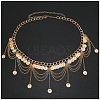 Ethnic Style Alloy Coin Tassel Waist Chains for Women FS-WGA1C87-01-1