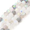 Electroplate Glass Beads Strands EGLA-P048-A03-1