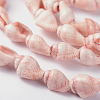Natural Sea Shell Conch Bead Strands LS-BSHE-O009-11-1