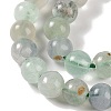 Natural Fluorite Beads Strands G-P530-B04-02-3