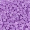 FGB Frosted Transparent Glass Seed Beads SEED-N013-03A-07-3