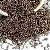 TOHO 6/0 Demi Round Beads Y-SEED-DR06-0204-3