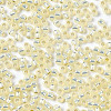 TOHO 11/0 Round Beads X-SEED-TR11-2125-2