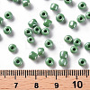 6/0 Glass Seed Beads X1-SEED-A012-4mm-127-3