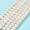Natural Cultured Freshwater Pearl Beads Strands PEAR-E016-197-2