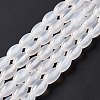 Natural White Agate Beads Strands G-C247-01A-4