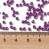 Baking Paint Glass Seed Beads X-SEED-S042-15A-20-4