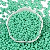 Opaque Acrylic Beads SACR-A007-01C-23-2