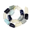 Natural Sodalite & Flower Amazonite & Lemon Quartz Beads Strands G-Q614-01A-01-3