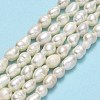 Natural Cultured Freshwater Pearl Beads Strands PEAR-J006-14A-01-2