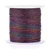 Polyester Braided Metallic Thread OCOR-I007-B-25-1