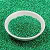 MIYUKI Round Rocailles Beads SEED-JP0010-RR0646-2