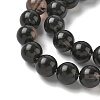 Natural Ice Obsidian Beads Strands X-G-P590-A03-10mm-03-4