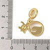 Rack Plating Brass Deep Sky Blue Enamel European Dangle Charms X-KK-P279-35G-3