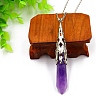 Natural Amethyst Pendant Necklaces PW-WG51950-09-1